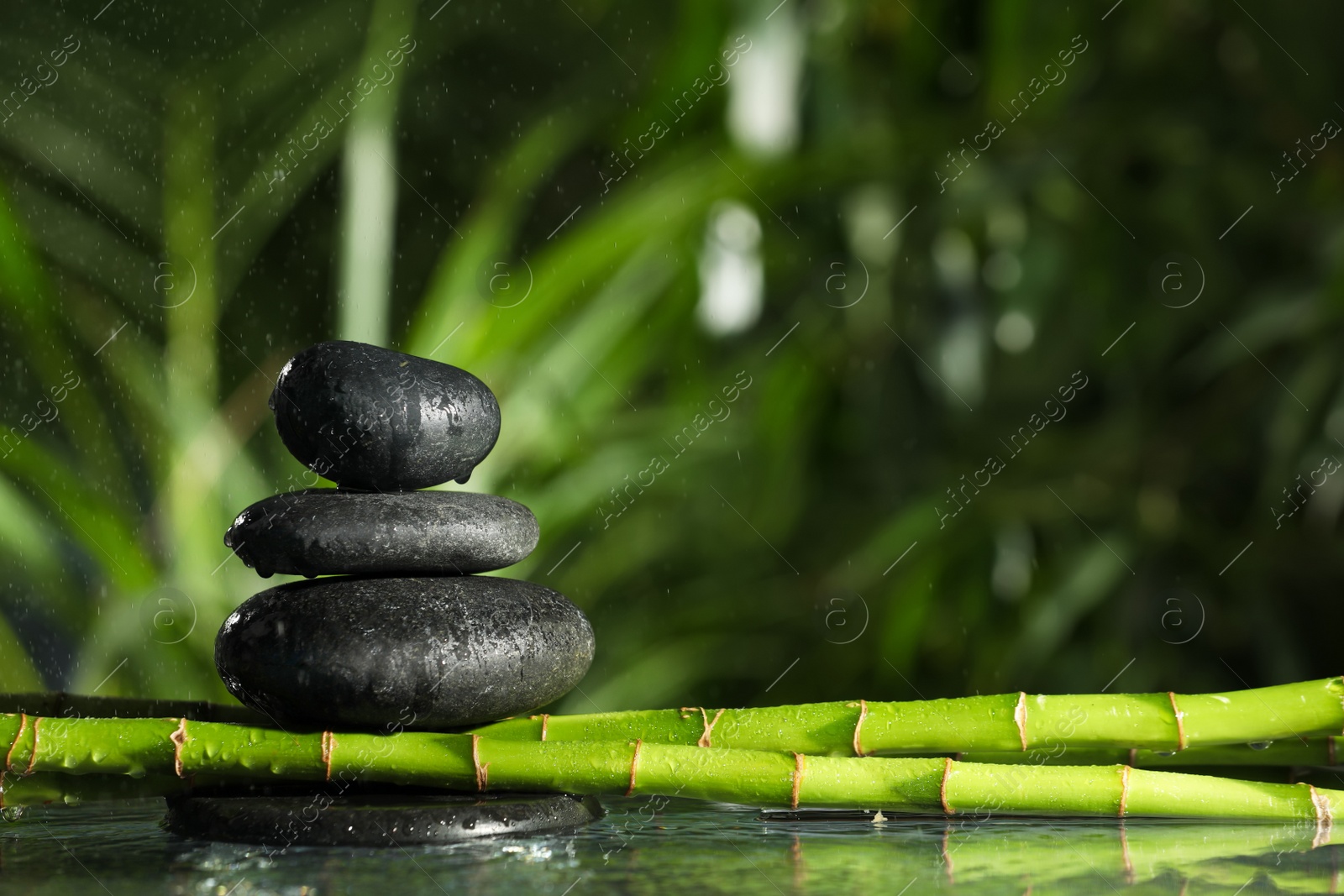 Photo of Stacked stones on bamboo stems over water against blurred background. Space for text