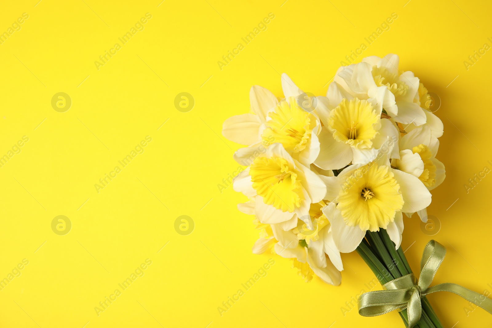 Photo of Bouquet of daffodils on color background, top view with space for text. Fresh spring flowers