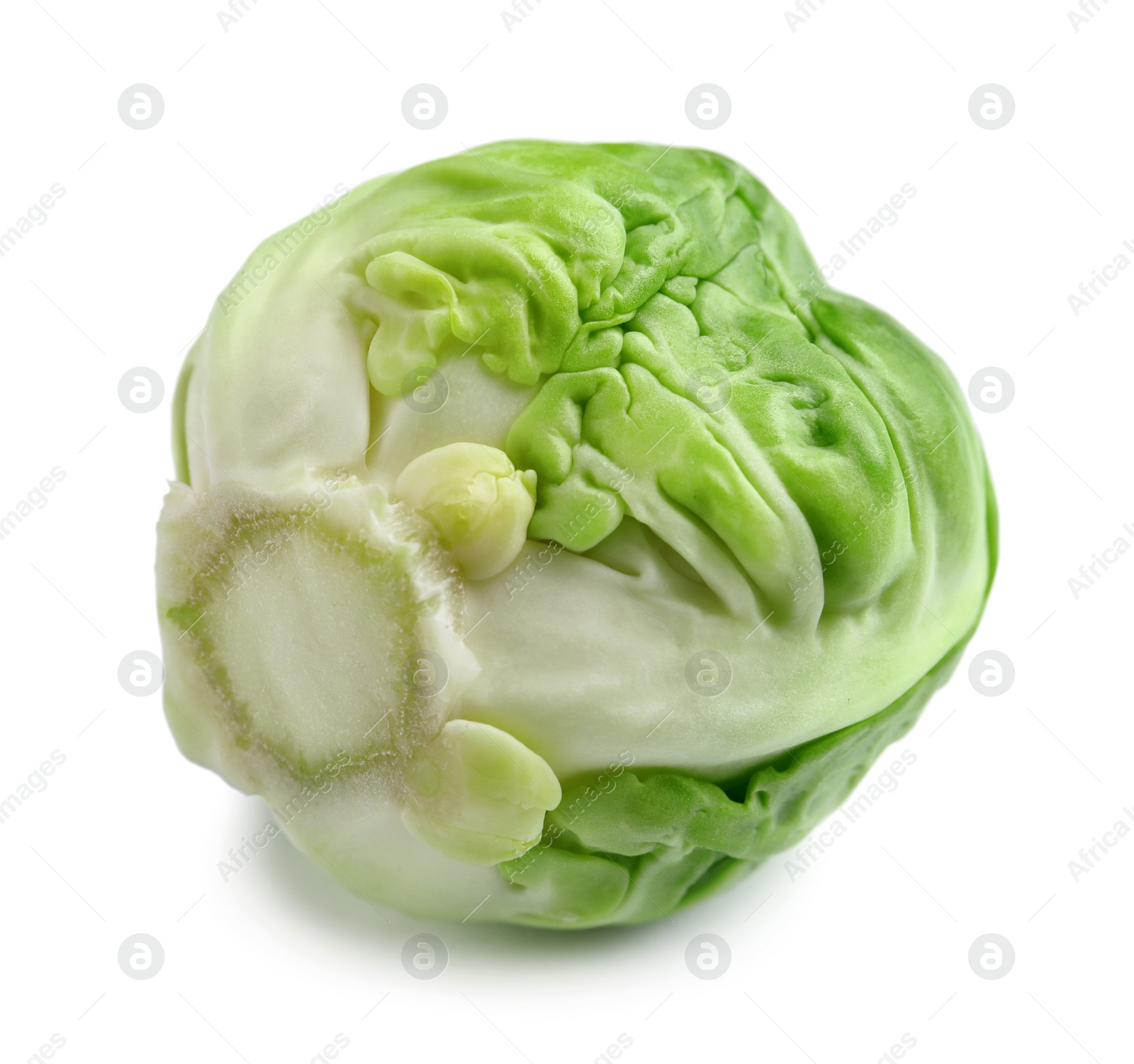 Photo of Fresh tasty Brussels sprout on white background