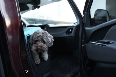 Photo of Cute dog in pet carrier travelling by car. Safe transportation