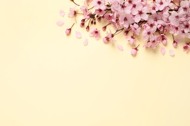 Photo of Blossoming spring tree branch as border on beige background, flat lay. Space for text