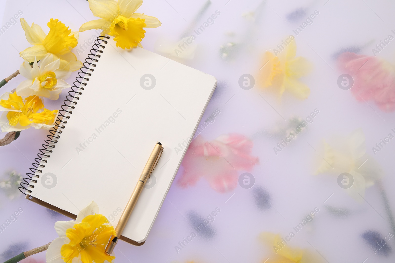 Photo of Guest list. Notebook, pen and daffodils on spring floral background, flat lay. Space for text