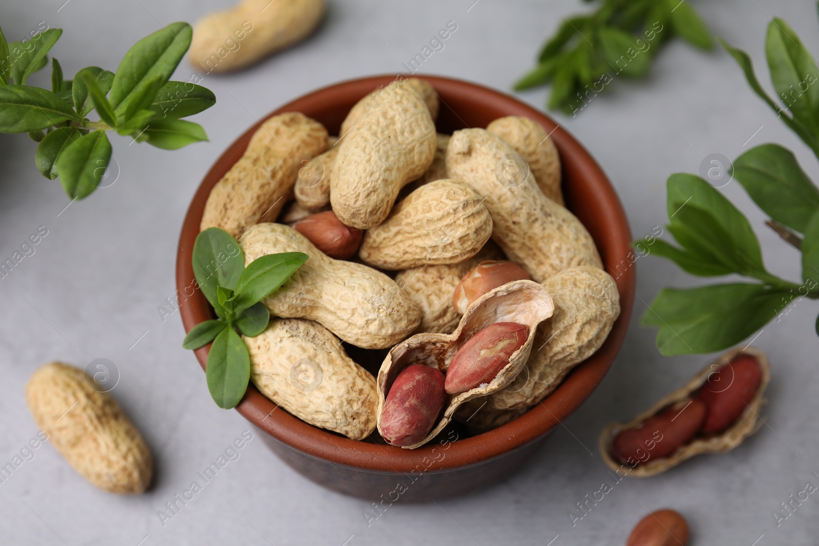 Photo of Fresh unpeeled peanuts in bowl and green leaves on grey table, closeup