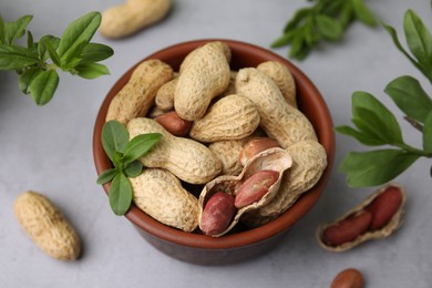 Fresh unpeeled peanuts in bowl and green leaves on grey table, closeup