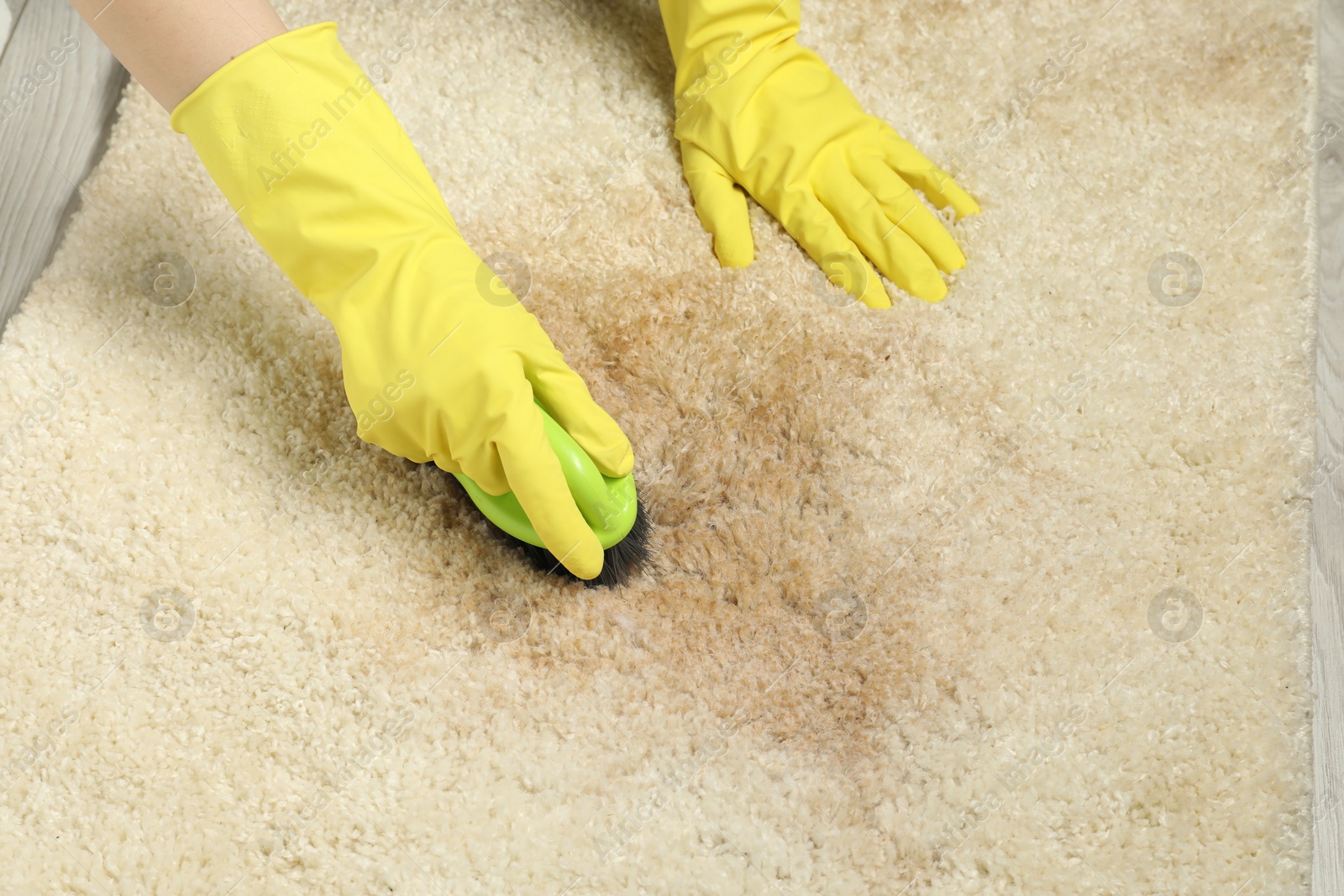 Photo of Woman removing stain from beige carpet, closeup