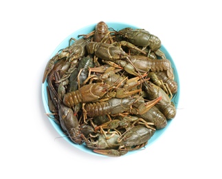 Photo of Bowl with fresh raw crayfishes isolated on white, top view. Healthy seafood