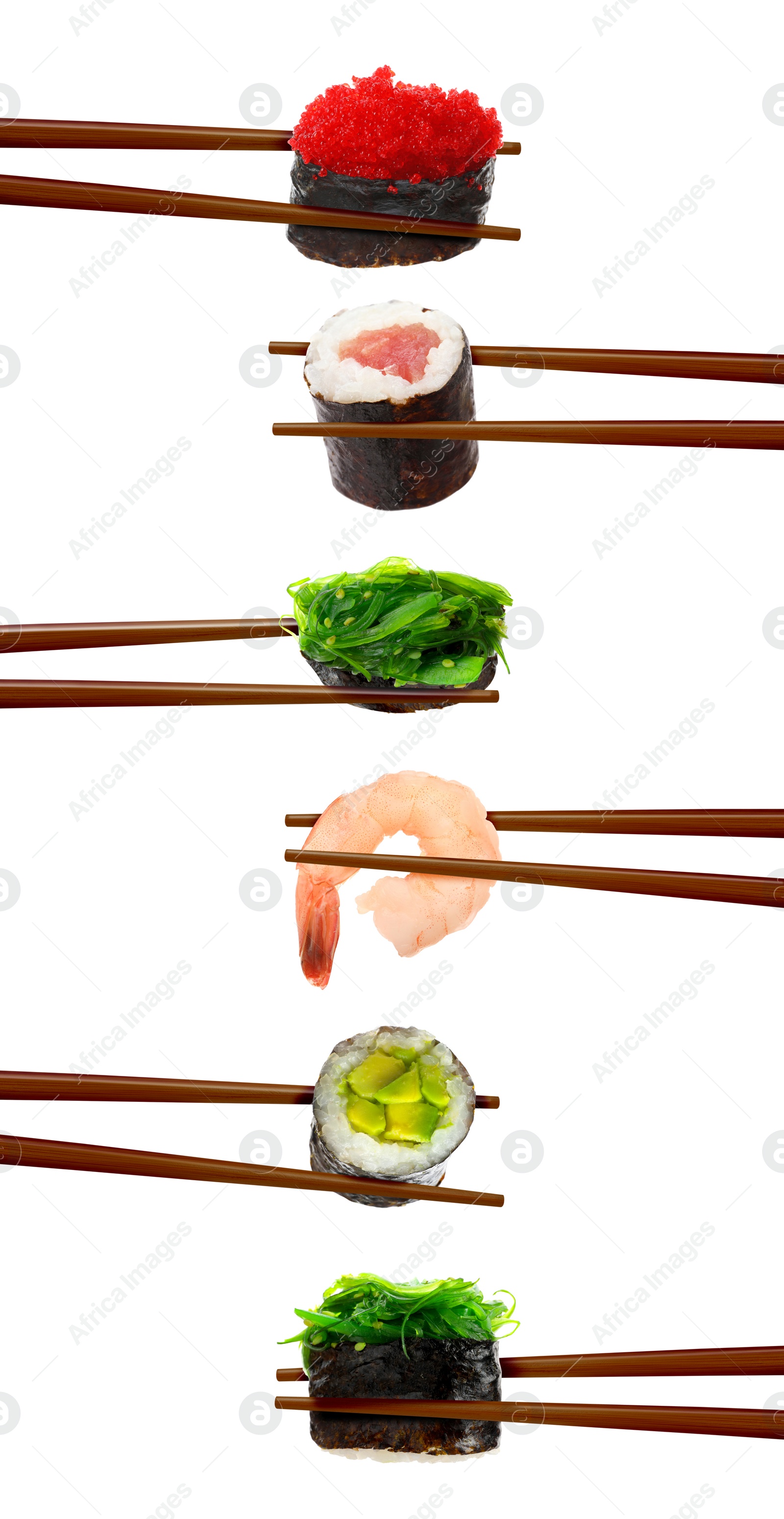 Image of Collage of different sushi rolls and shrimp on white background