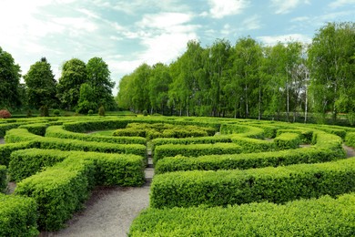 Photo of Beautiful view of green hedge maze on sunny day