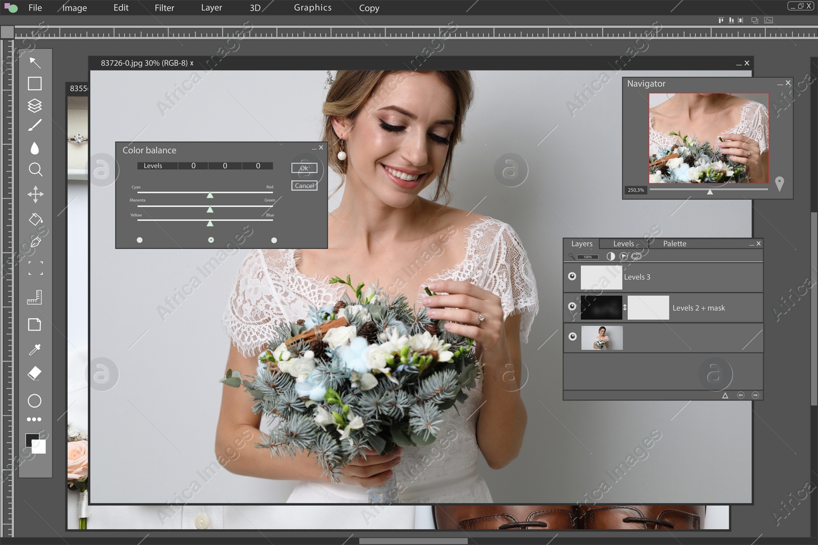 Image of Professional photo editor application.  beautiful bride with wedding bouquet