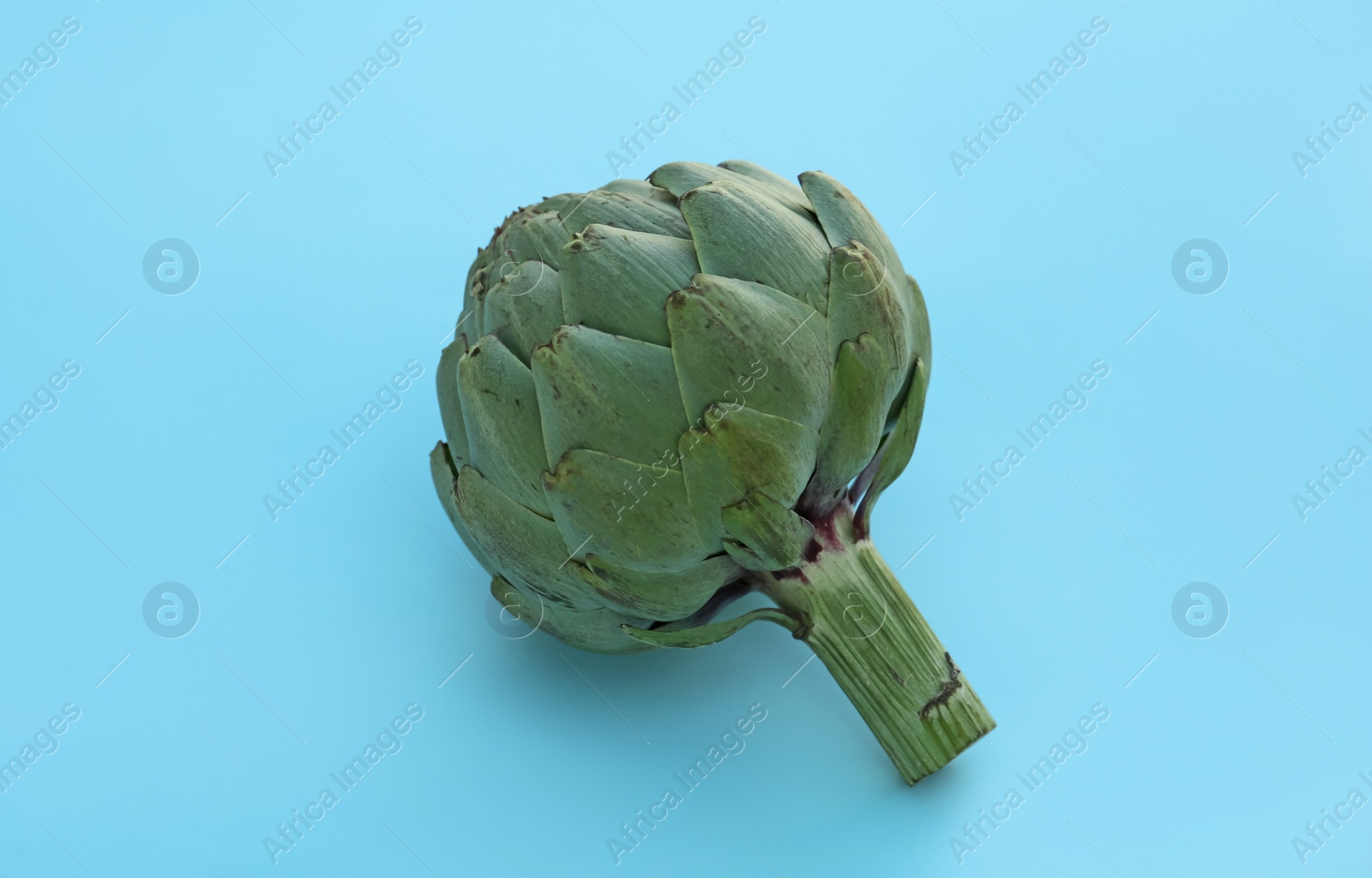 Photo of Whole fresh raw artichoke on light blue background, closeup