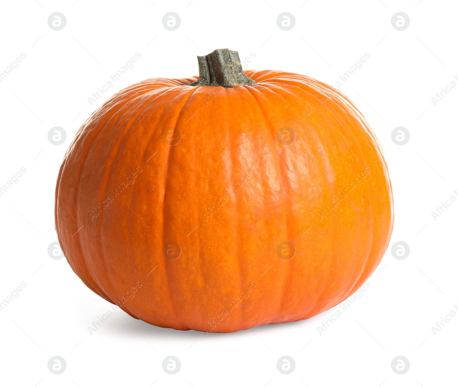 Photo of Fresh ripe pumpkin isolated on white. Organic plant