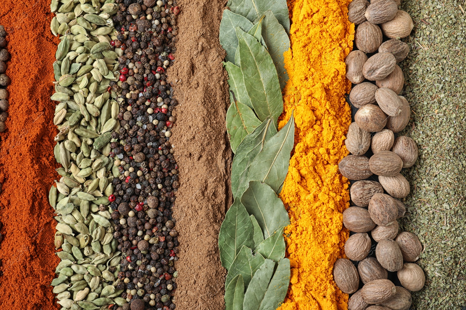 Photo of Set of different spices as background, top view