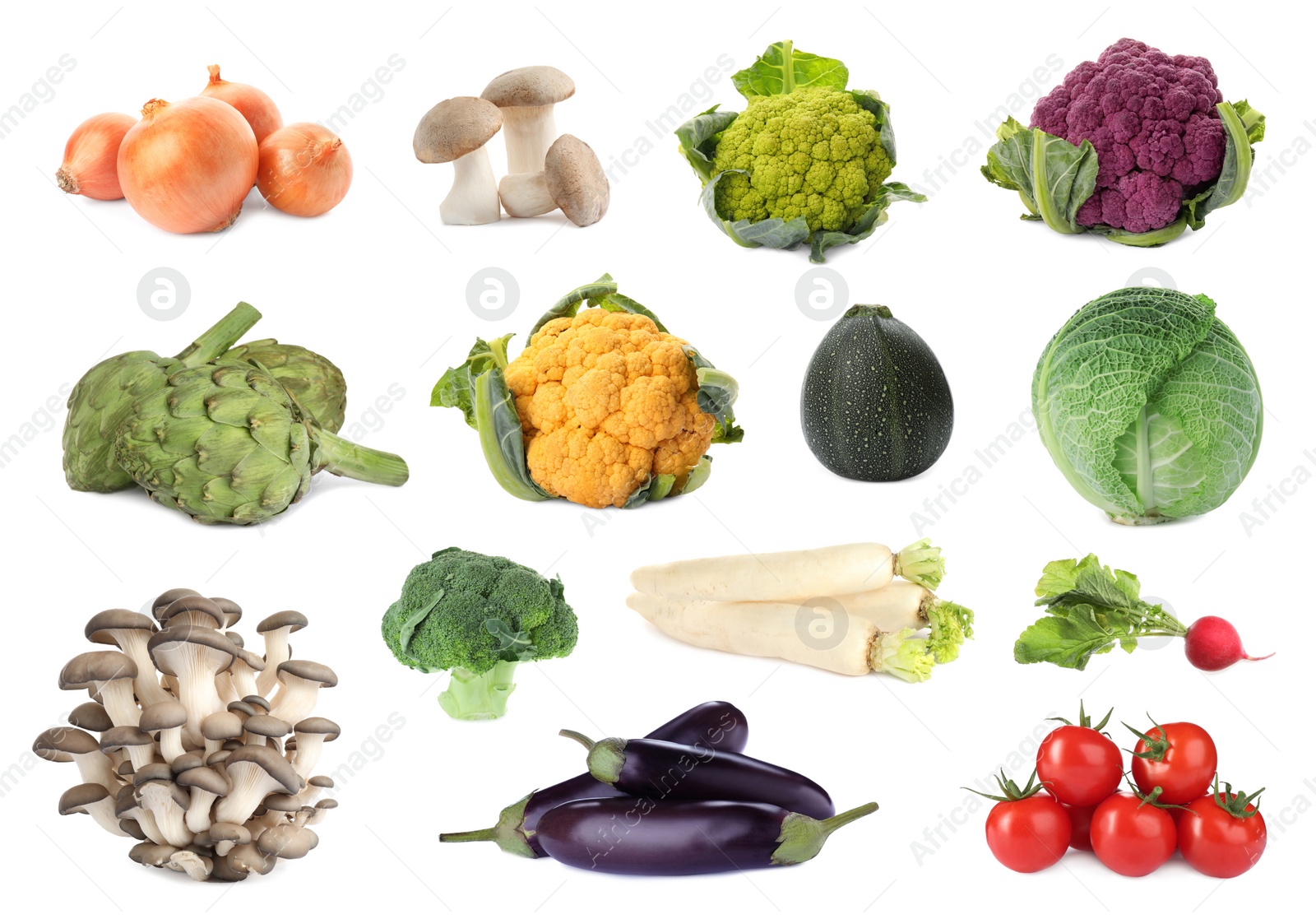 Image of Collection of different fresh vegetables on white background