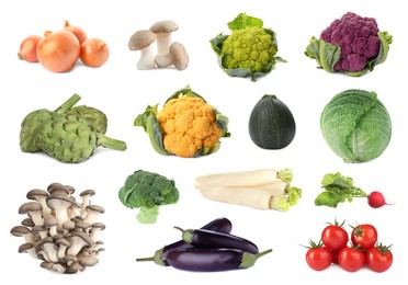 Image of Collection of different fresh vegetables on white background