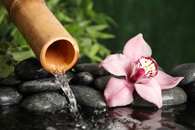 Photo of Traditional bamboo fountain with zen stones and flower