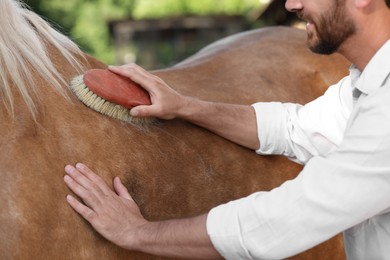 Photo of Man brushing adorable horse outdoors, closeup. Pet care