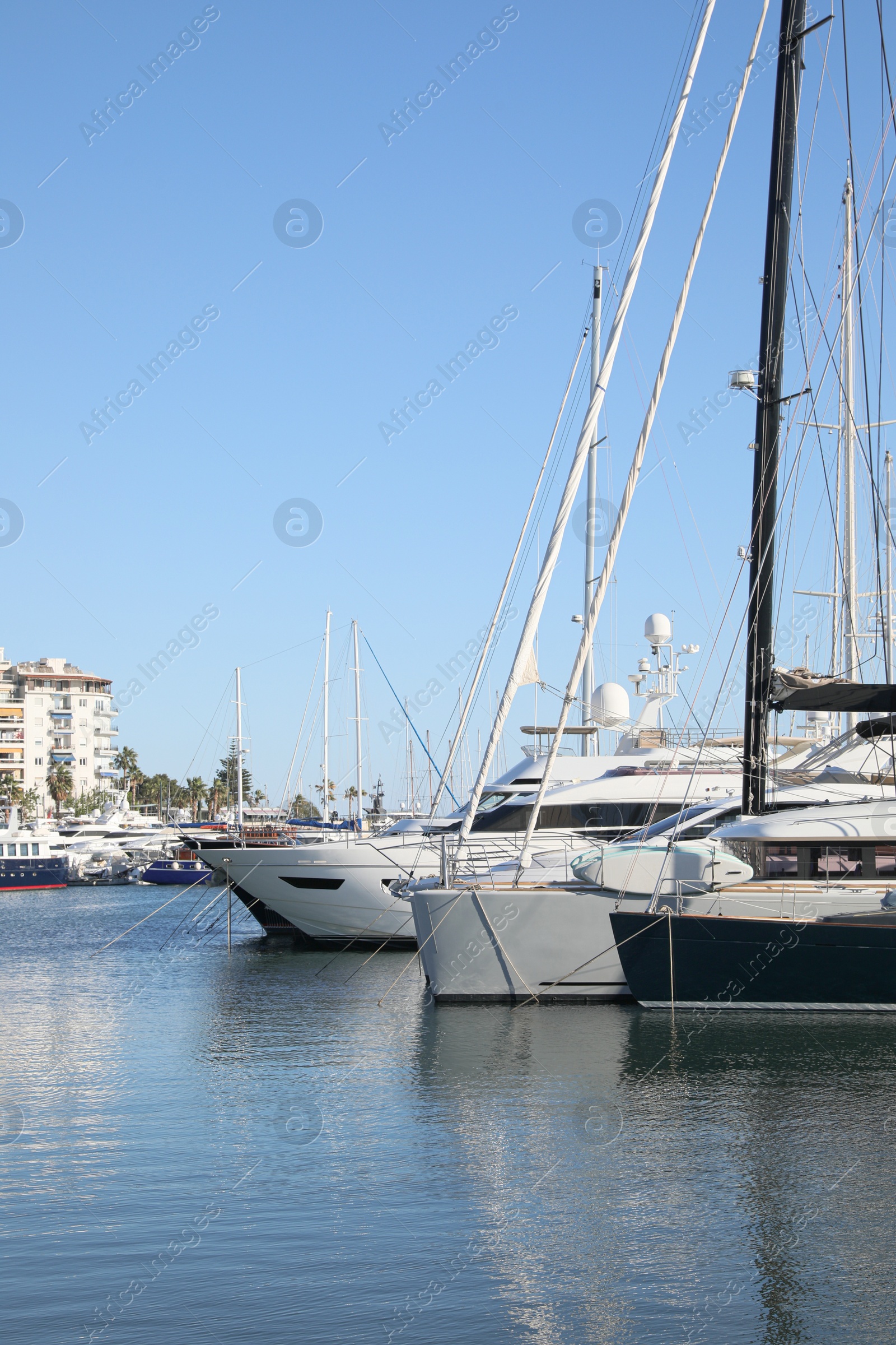 Photo of Picturesque view of port with modern boats on sunny day