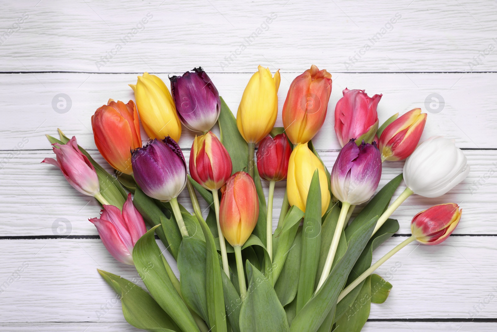 Photo of Beautiful colorful tulip flowers on white wooden table, top view