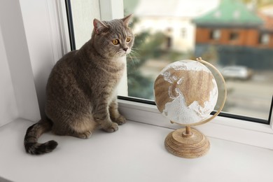Photo of Cute cat and globe on windowsill indoors. Travel with pet concept