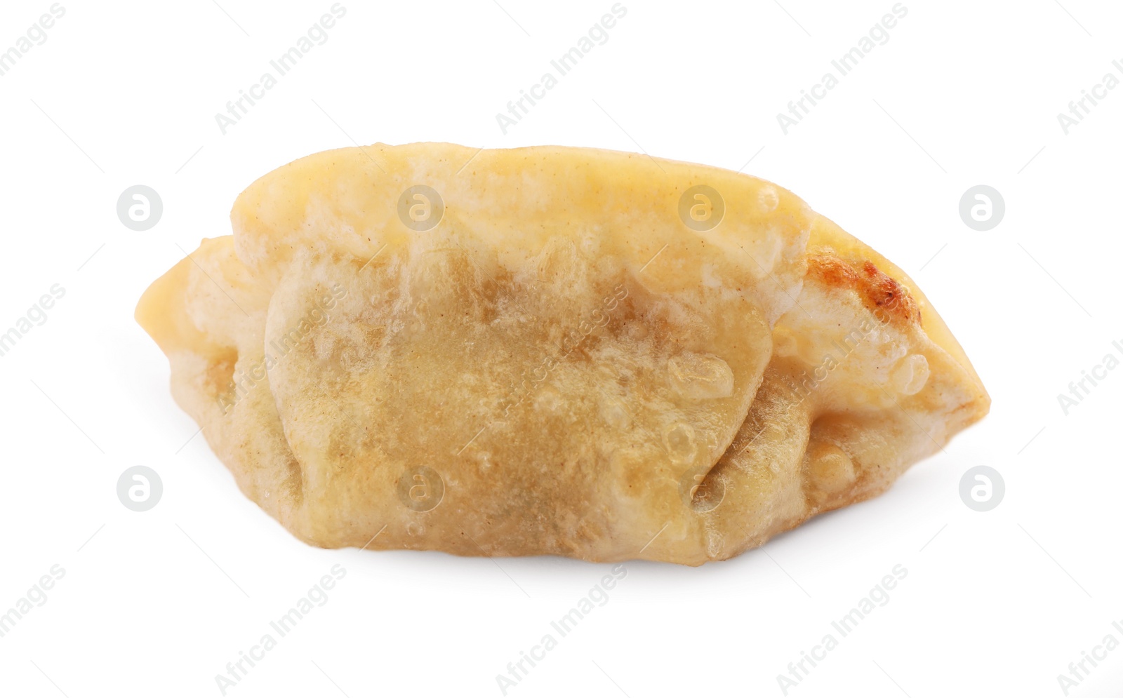 Photo of Delicious gyoza (asian dumpling) isolated on white