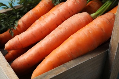 Photo of Fresh ripe juicy carrots in wooden basket, closeup
