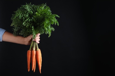 Woman holding ripe carrots on black background, closeup. Space for text