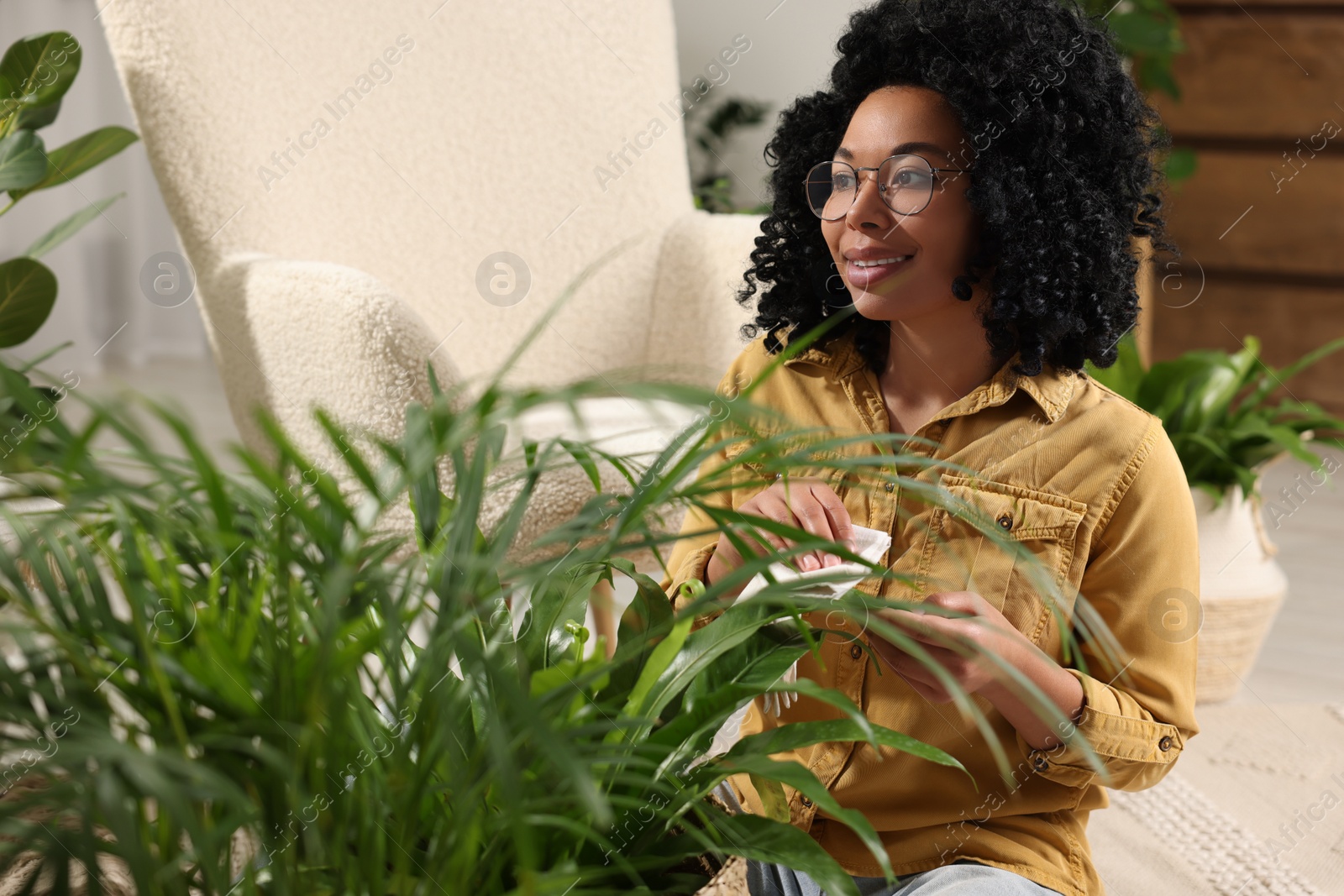 Photo of Happy woman wiping beautiful houseplant leaves indoors