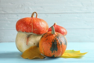 Photo of Different pumpkins on table against wooden wall. Autumn holidays