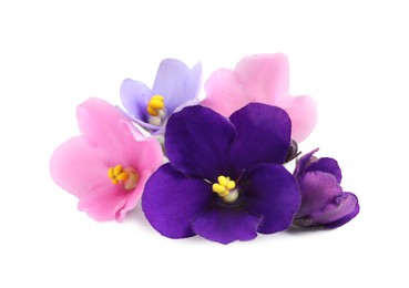 Photo of Fresh flowers of violet plant on white background