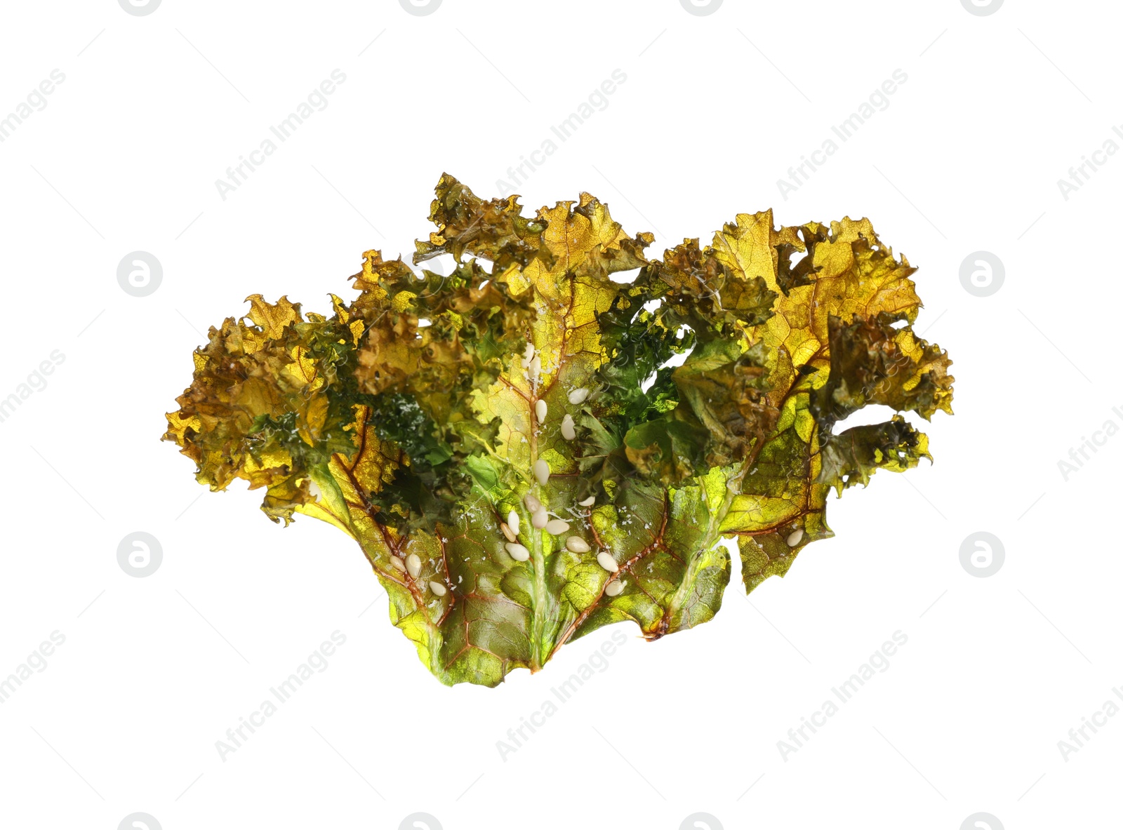 Photo of Tasty baked kale chip isolated on white