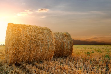 Image of Hay bales in golden field at sunset. Space for text