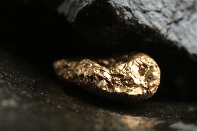 Photo of Shiny gold nugget on wet stone, closeup
