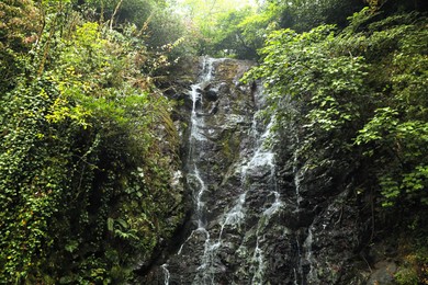 Beautiful waterfall with green moss in park