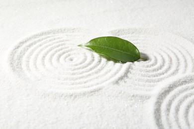 Photo of Zen rock garden. Circle patterns on white sand and green leaf, closeup
