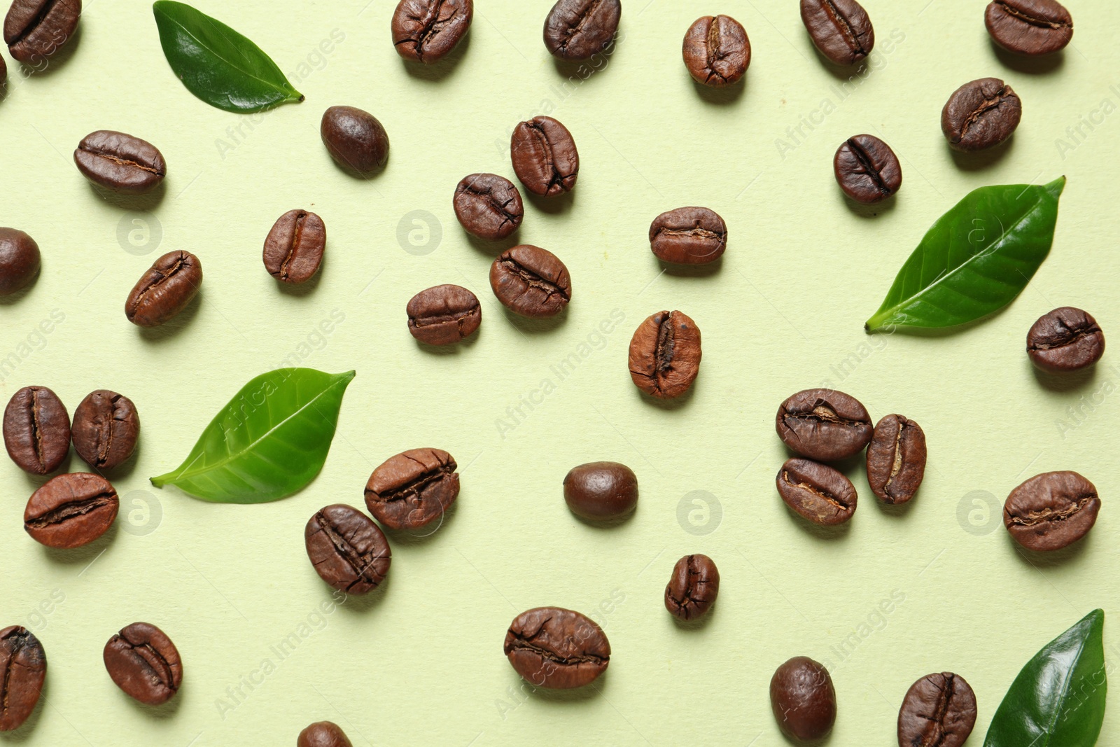 Photo of Fresh green coffee leaves and beans on light green background, flat lay