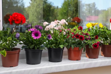 Different beautiful potted flowers on windowsill indoors