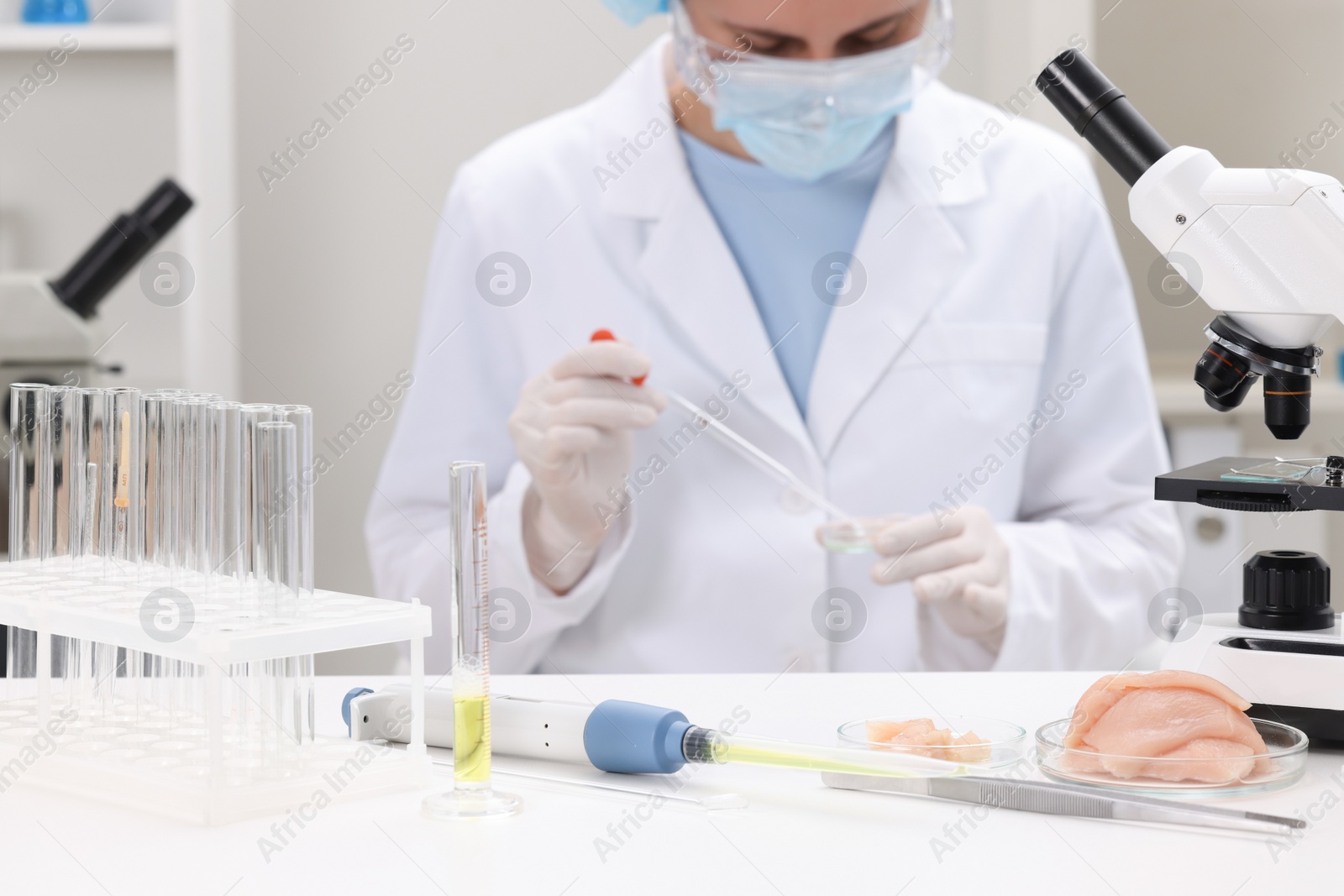 Photo of Quality control. Food inspector examining meat in laboratory