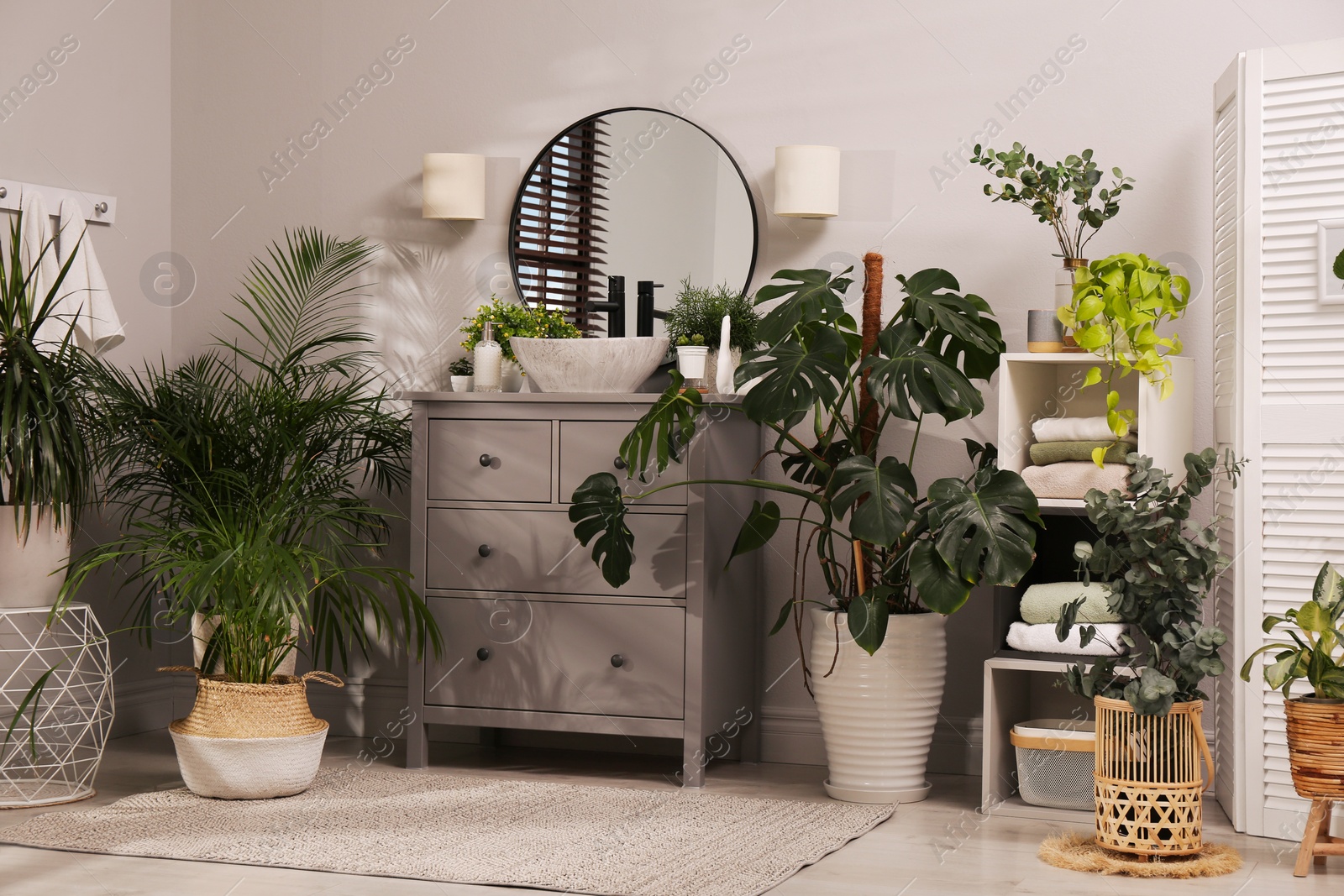 Photo of Stylish bathroom interior with modern furniture and beautiful green houseplants