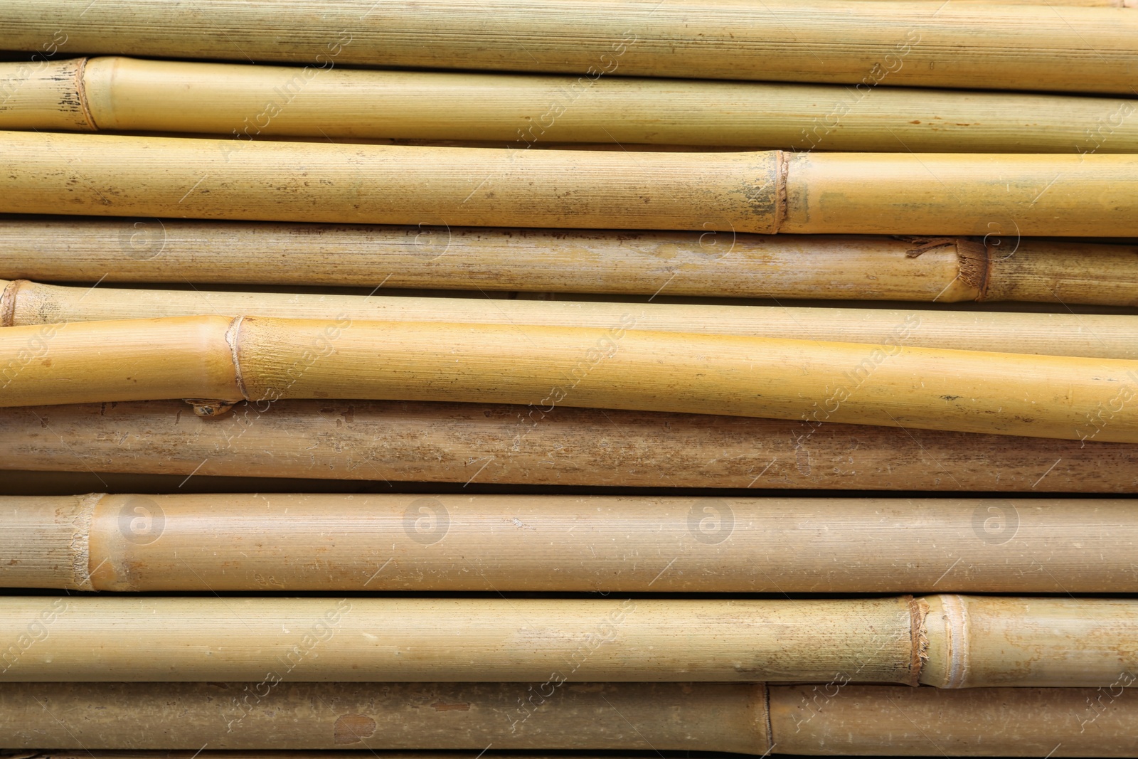 Photo of Dry bamboo sticks as background, top view