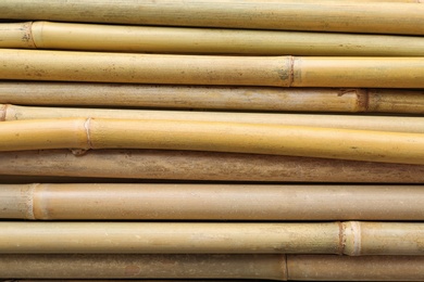 Dry bamboo sticks as background, top view