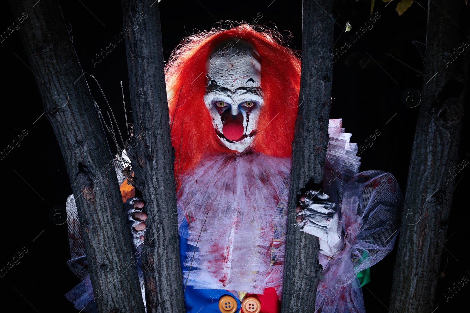 Photo of Terrifying clown hiding behind trees outdoors at night. Halloween party costume