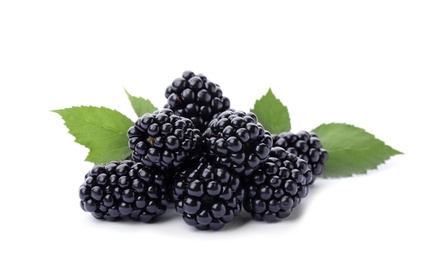 Photo of Pile of tasty ripe blackberries with green leaves on white background