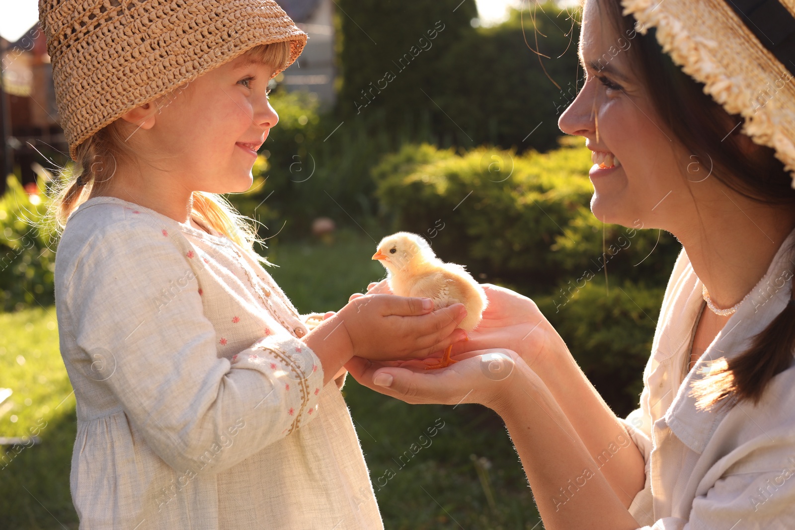 Photo of Happy mother and her little daughter with cute chick outdoors