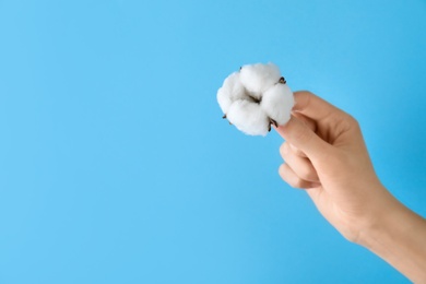 Woman holding cotton flower on light blue background, closeup. Space for text