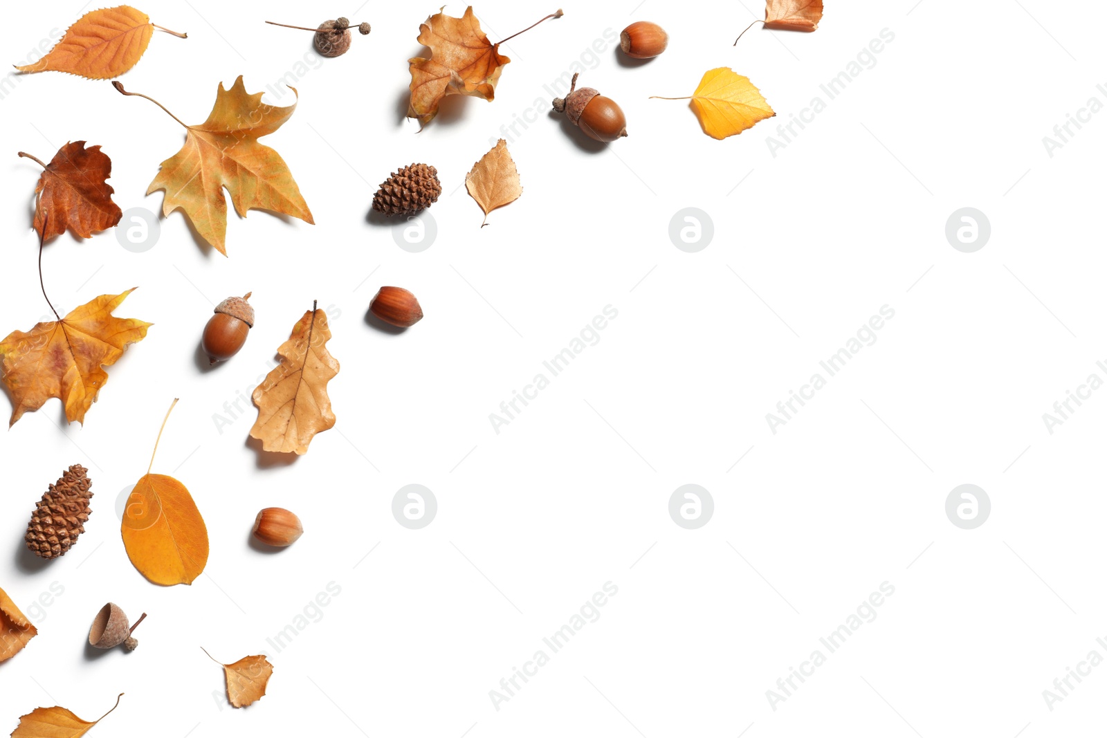 Photo of Flat lay composition with autumn leaves and space for text on white background