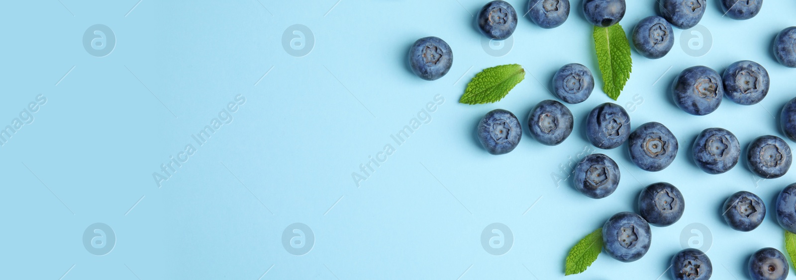 Image of Tasty fresh blueberries on light blue background, flat lay with space for text. Banner design