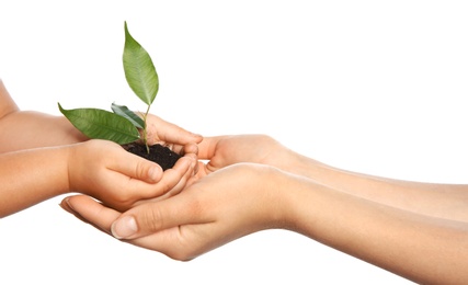 Photo of Woman and her child holding soil with green plant in hands on white background. Family concept