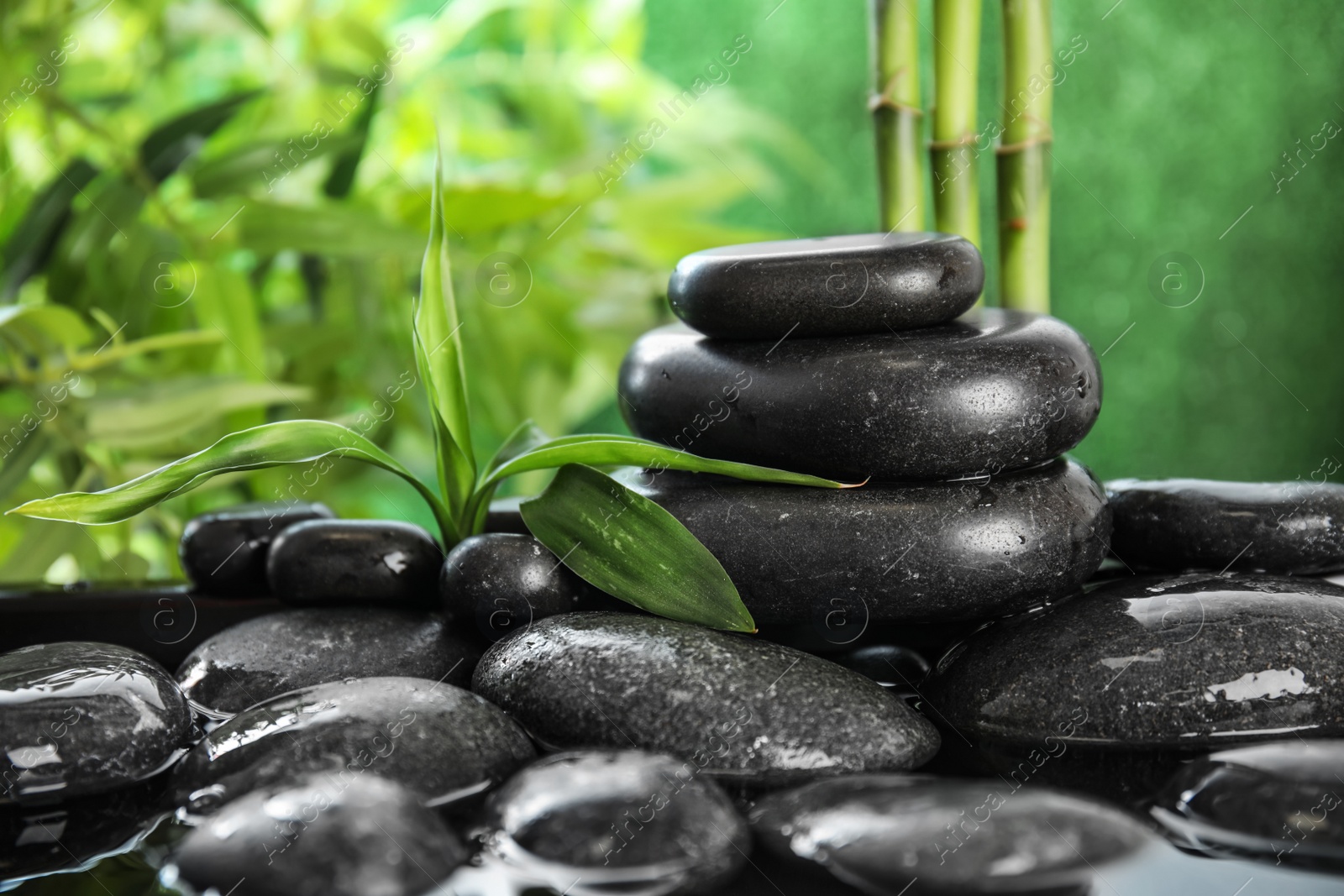 Photo of Zen stones and bamboo leaves in water on blurred background. Space for text