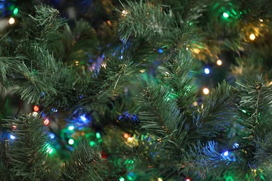 Photo of Christmas tree with bright string lights, closeup. Bokeh effect