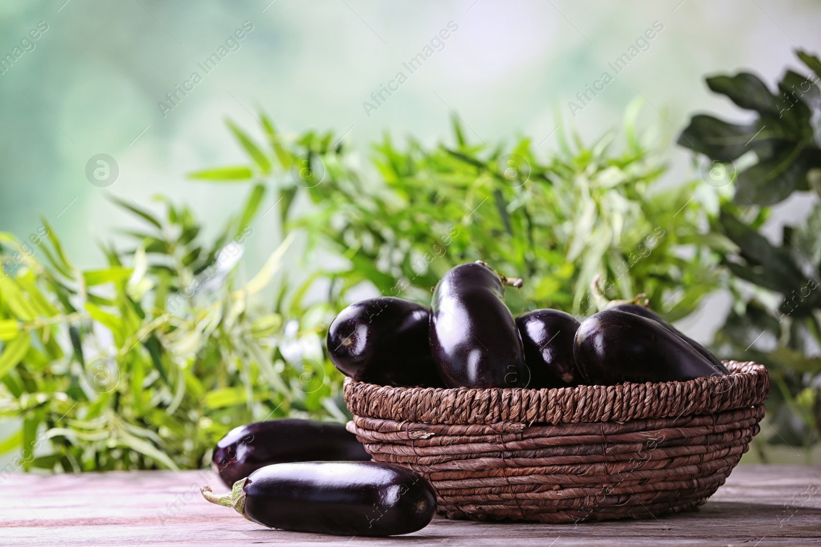 Photo of Bowl with ripe eggplants on table against blurred background